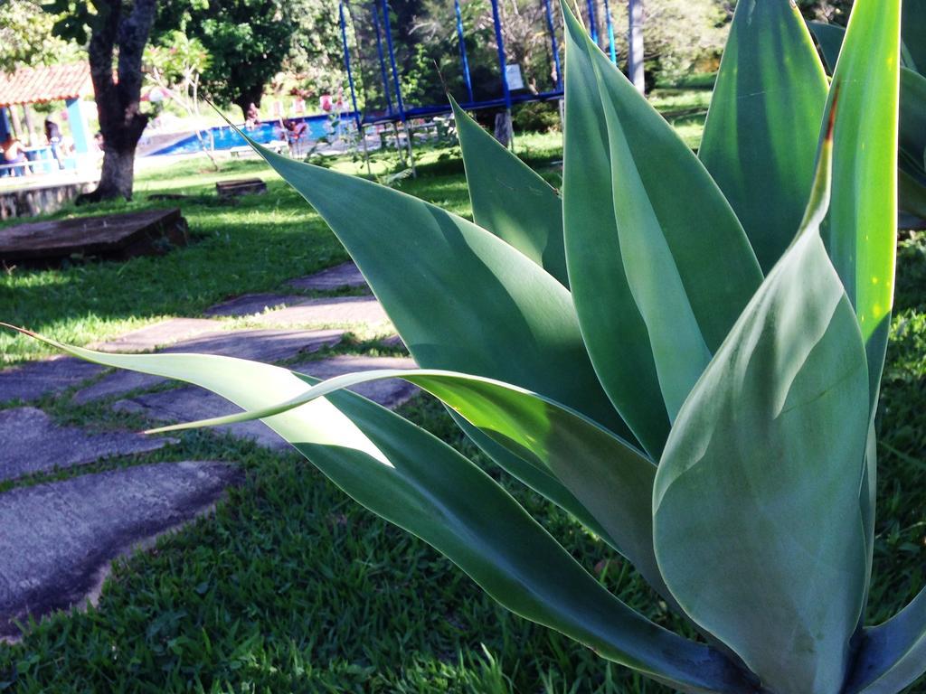 Aguas Vivas Hotel Fazenda Pirenópolis Buitenkant foto