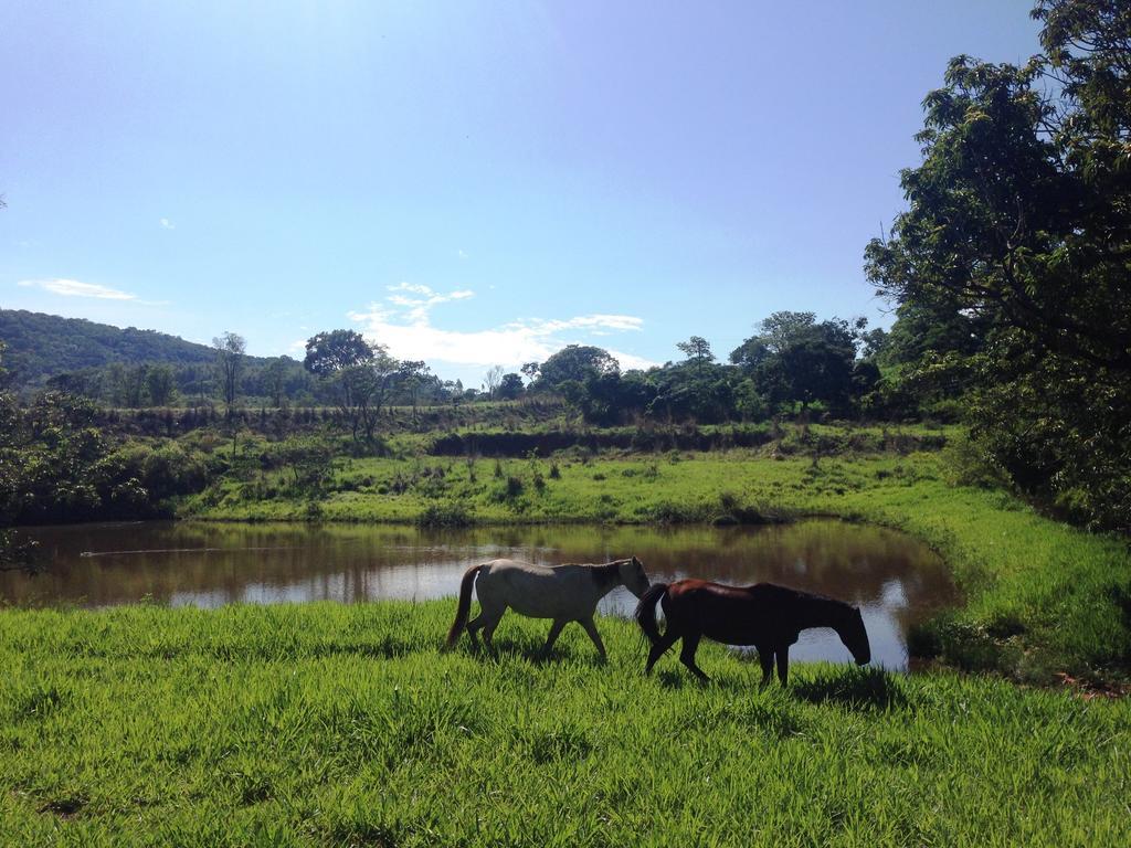 Aguas Vivas Hotel Fazenda Pirenópolis Buitenkant foto