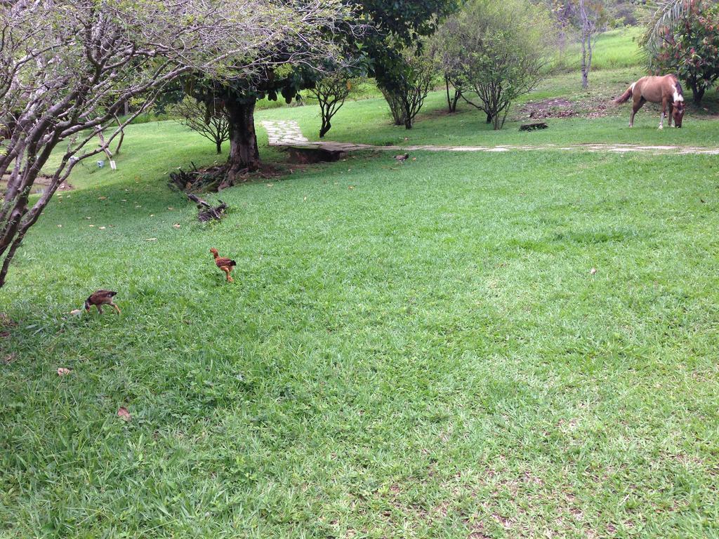 Aguas Vivas Hotel Fazenda Pirenópolis Buitenkant foto