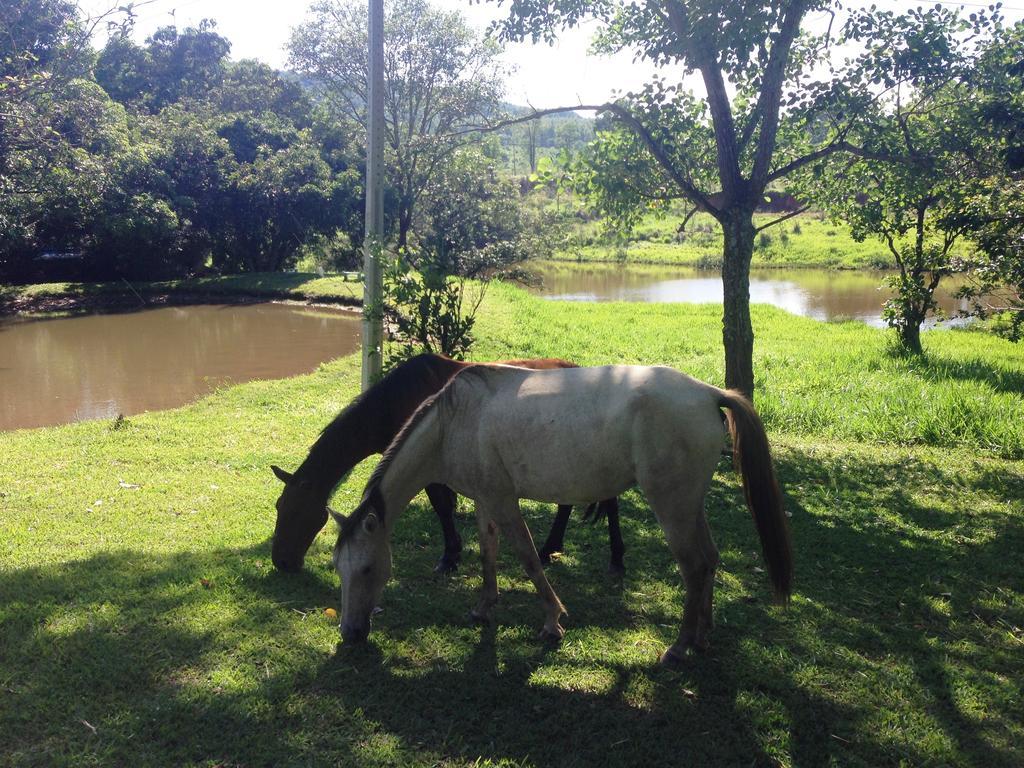 Aguas Vivas Hotel Fazenda Pirenópolis Buitenkant foto