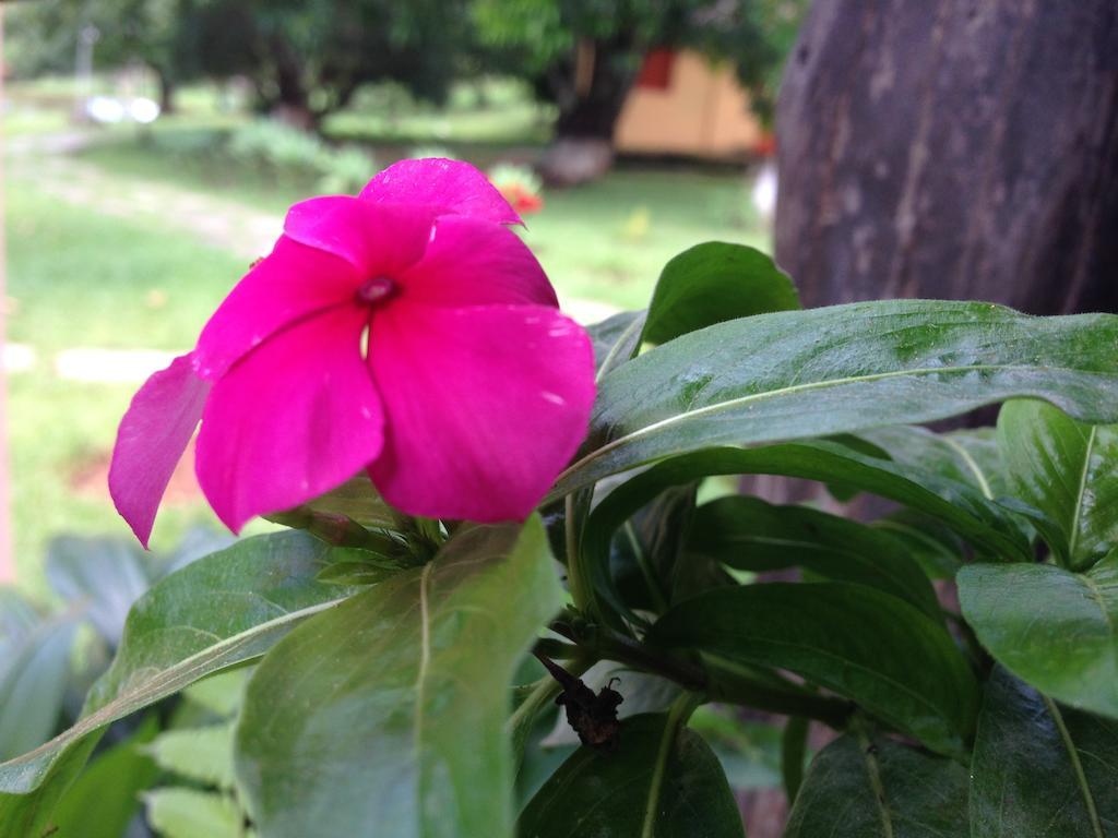 Aguas Vivas Hotel Fazenda Pirenópolis Buitenkant foto