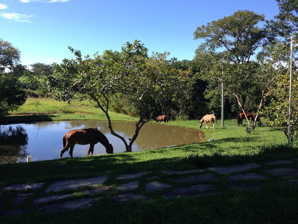 Aguas Vivas Hotel Fazenda Pirenópolis Buitenkant foto